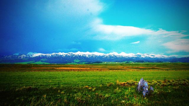 My Ecological Footprint