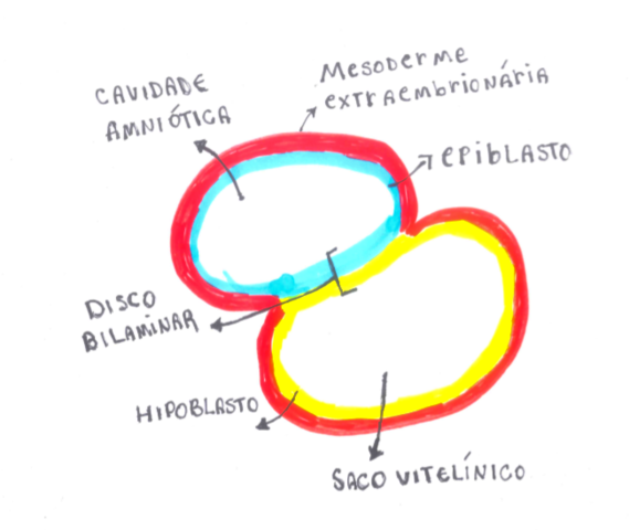 2da SEMANA (semana de los dos)