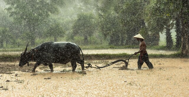 Descubrimiento de la agricultura