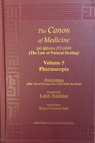 Avicenna writes Canon of Medicine