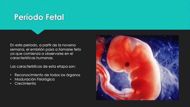 9na SEMANA hasta el NACIMIENTO denominado PERIODO FETAL (Fetos NO Viables hasta la semana 20)