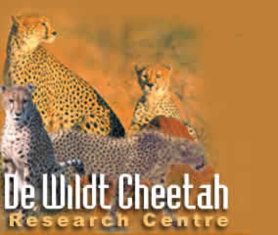 DeWildt Cheetah and Wildlife Centre Established