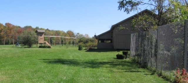 Founding of The Cheetah Preservation and Research Center