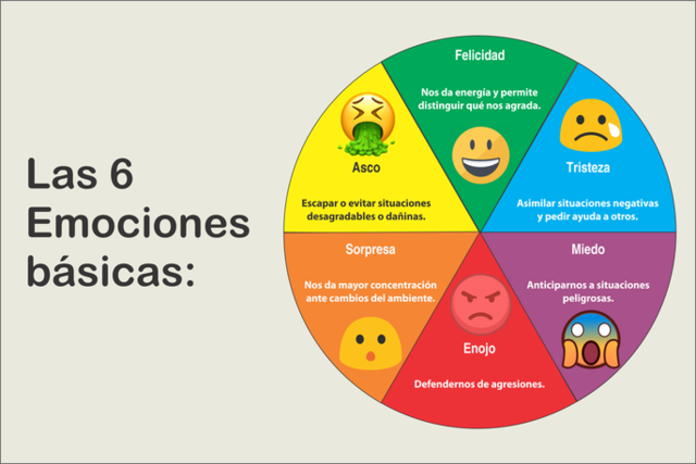 Se definen las 6 emociones básicas