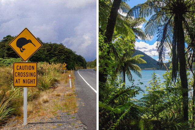 Feerien in Neuseeland