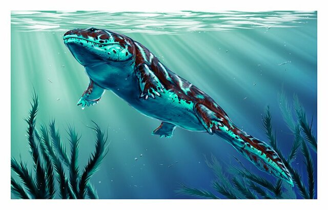 Esimesed kahepaiksed