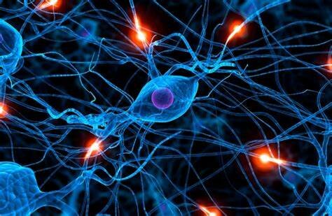 El surgimiento del sistema nervioso