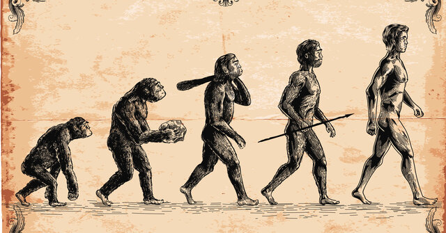 APARICIÓN DEL SER HUMANO