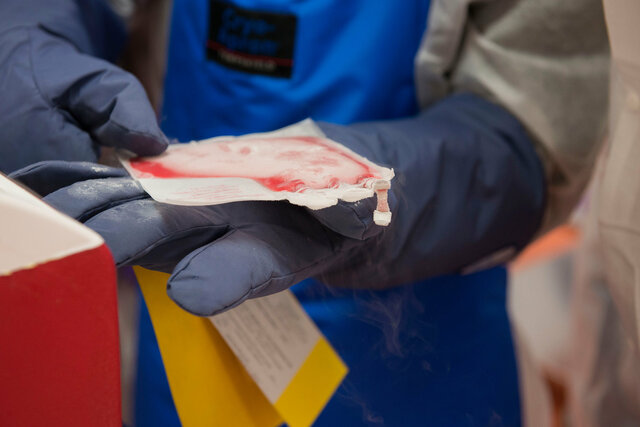 Terapia génica e inmunoterapia celular