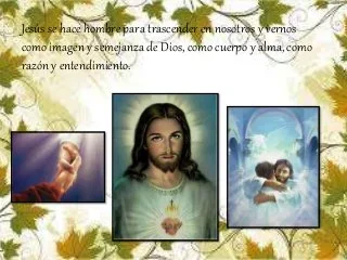 cuatro tipo de humanismo