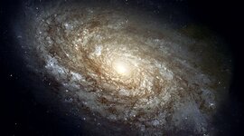 Timeline: La Galaxia