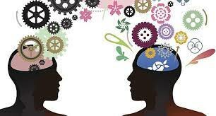 Periodo de Socialización