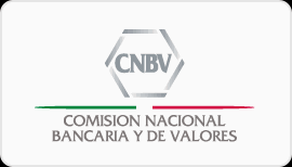 COMISIÓN NACIONAL BANCARIO Y DE SEGUROS