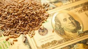 Precio del grano
