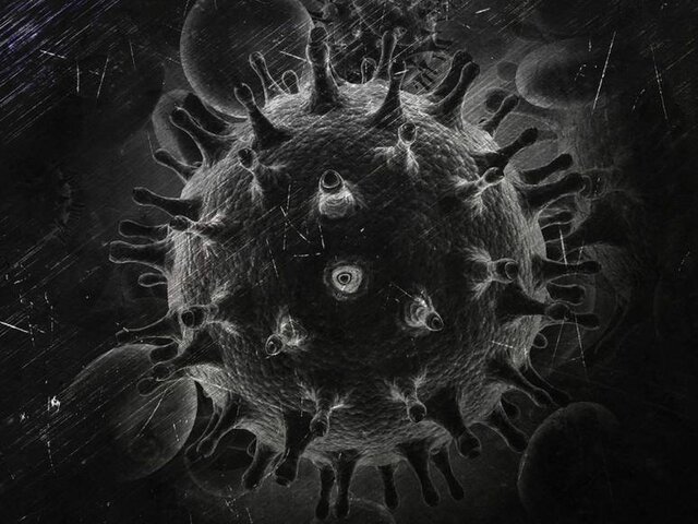 Identificación del VIH