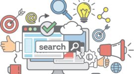 Período de socialización