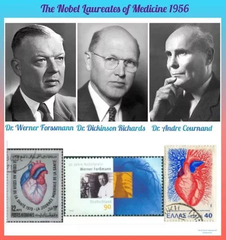 Andre Cournand, Dickinson Richard, and Werner Forssmann Win Nobel Prize