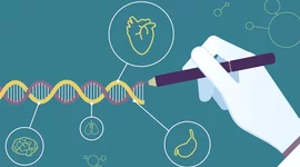 Timeline: BIOLOGIA-HISTÒRIA DE LA GENÈTICA