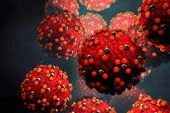 Vacuna del Sarampión