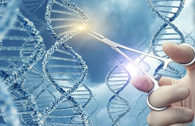 Terapia génica e inmunoterapia celular.