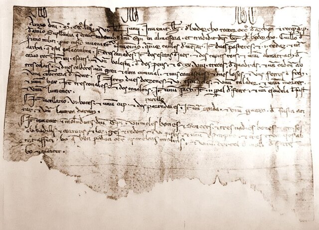 La llengua catalana es troba totalment diferenciada de la resta