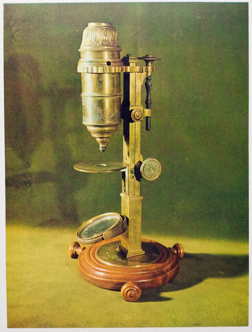 Anton Van Leeuwenhoek