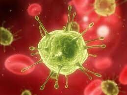 Robert Gallo identified the virus causing AIDS