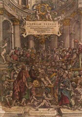 En 1543  publica De humanis corporis fabrica