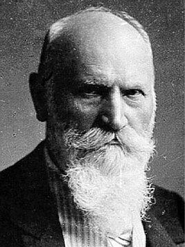 Aparece el término "Cromosoma"