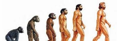 Humanismo Ambiental o evolutivo