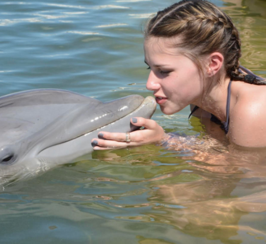 dolphins!