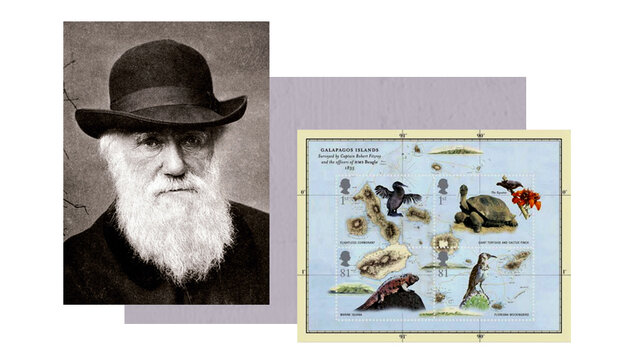 Teoría de la evolución.