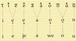 L'evolució del llatí