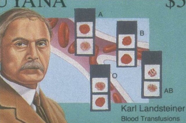 El descubrimiento de los grupos sanguíneos