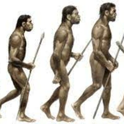 Timeline: Sociedades a través del tiempo” Ana Margarita Mejia