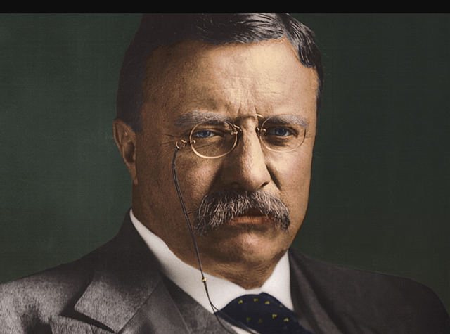 Theodore Roosevelt Becomes President