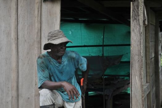 LEY 70 DE 1993  "Por la cual se desarrolla el artículo transitorio 55 de la Constitución Política.