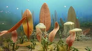 El surgimiento del sistema nervioso.