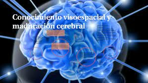 Conocimiento visoespacial y maduración cerebral