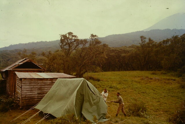 Moves to Rwanda, Establishes Karisoke Research Center