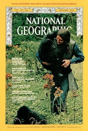 National Geographic Propels Dian Fossey to International Attention