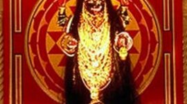 Timeline: My History