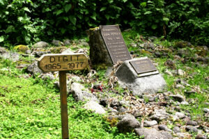 Dian Fossey Tragically Dies