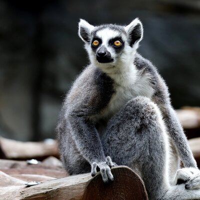 Timeline: Tappe di informatica