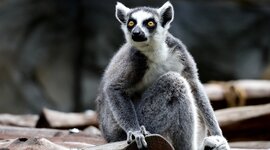 Timeline: Tappe di informatica