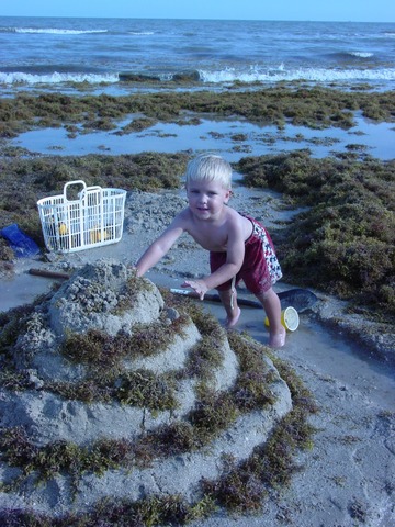 The Day I Went to the Beach