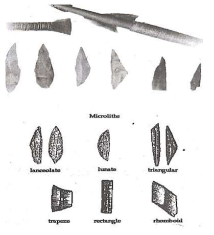Differences that are made from Mesolithic