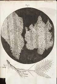 Es publiquen els primers dibuixos de cèl·lules mortes de talls de suro.