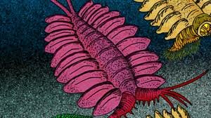 Surgimiento del primer Cerebro