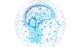 Timeline: Fondamenti dell' Informatica